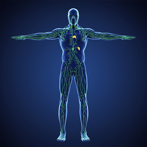 Lymphatic drainage technique training